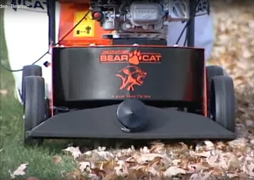 Bearcat 1