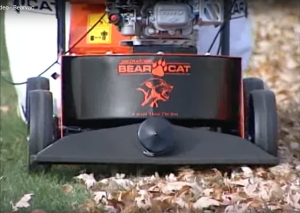 Bearcat 1.jpg